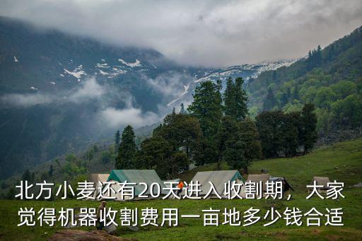 北方小麥還有20天進入收割期，大家覺得機器收割費用一畝地多少錢合適