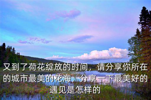 成都哪里可以看到最美的荷花,試問成都還有哪兒的荷花更美