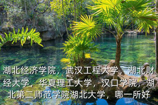 湖北經濟學院，武漢工程大學，湖北財經大學，華夏理工大學，漢口學院，湖北第二師范學院湖北大學，哪一所好