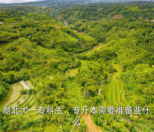 湖北大一專科生，專升本需要準備些什么