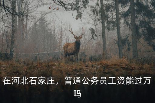 石家莊翻譯工資一般多少,想問問石家莊工資普遍多少