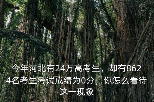 河北省今年高考有多少個考生,今年河北高考最高分多少