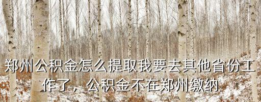 鄭州公積金怎么提取我要去其他省份工作了，公積金不在鄭州繳納