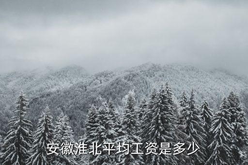 安徽省淮南市2019年平均工資是多少,安徽淮北平均工資是多少
