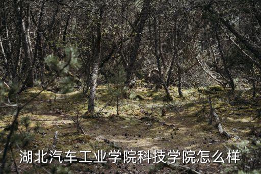 湖北汽車工業(yè)學(xué)院科技學(xué)院怎么樣