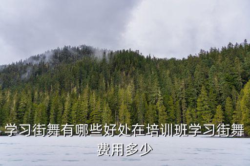 邯鄲學街舞價格多少,學一支舞蹈要多少錢