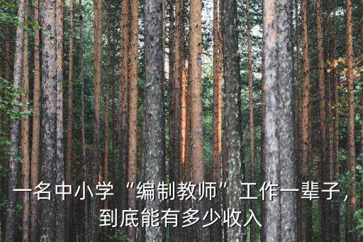 一名中小學“編制教師”工作一輩子，到底能有多少收入