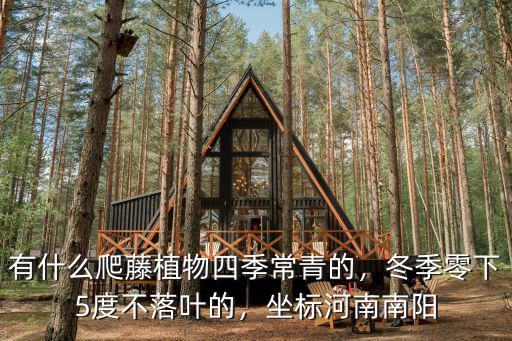 有什么爬藤植物四季常青的，冬季零下5度不落葉的，坐標(biāo)河南南陽