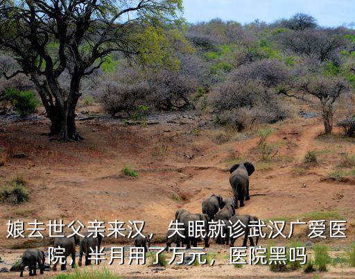 嚴(yán)重失眠怎么辦啊專注武漢廣愛醫(yī)院,失眠就診武漢廣愛醫(yī)院