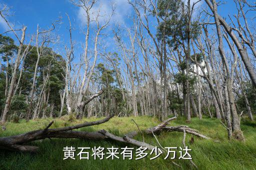 黃石萬達周大福怎么樣,黃石萬達怎么樣