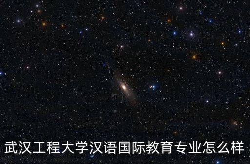 武漢工程大學漢語國際教育專業怎么樣