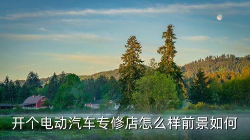 武漢開電動車店怎么樣,開個電動汽車專修店怎么樣