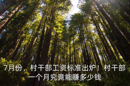 河北村委會工資多少錢一個月,村干部一個月究竟能賺多少錢