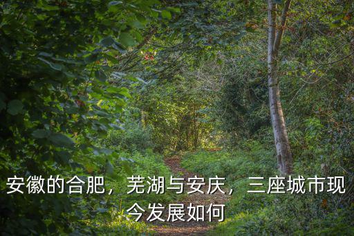 安徽超過500萬的城市有多少,1000萬人口的城市有哪些