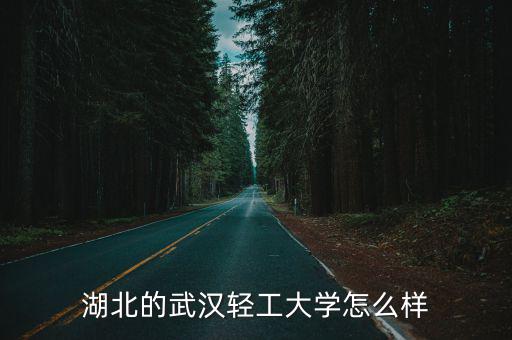 武漢輕工大學研究生學院怎么樣,湖北的武漢輕工大學怎么樣