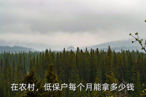 張家口農(nóng)村低保戶每月領(lǐng)多少,2021低保戶每個月多少錢