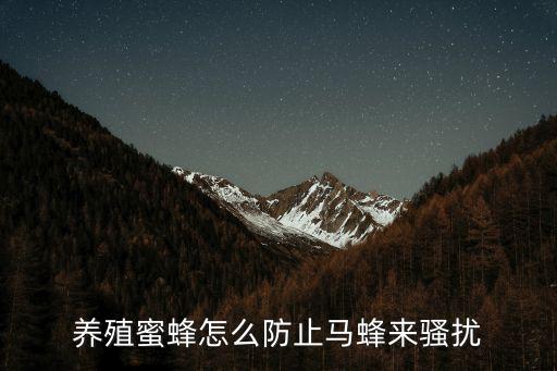 養殖蜜蜂怎么防止馬蜂來騷擾