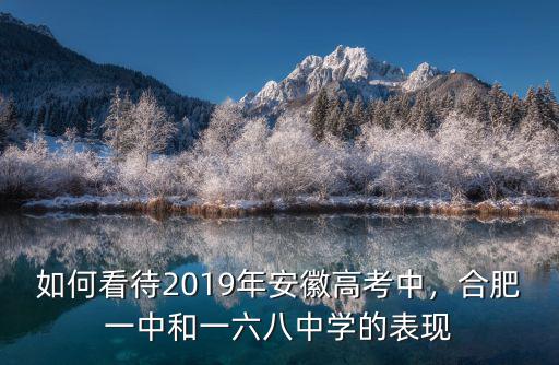 如何看待2019年安徽高考中，合肥一中和一六八中學的表現