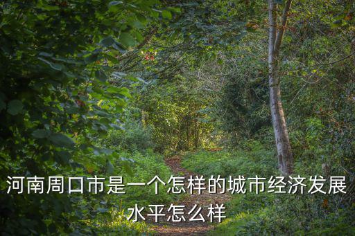 河南周口市是一個(gè)怎樣的城市經(jīng)濟(jì)發(fā)展水平怎么樣