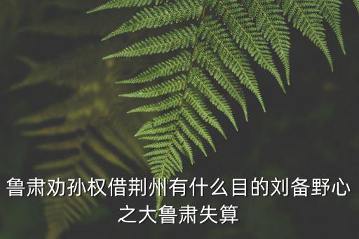 魯肅怎么要的荊州,魯肅勸孫權借荊州有什么目的