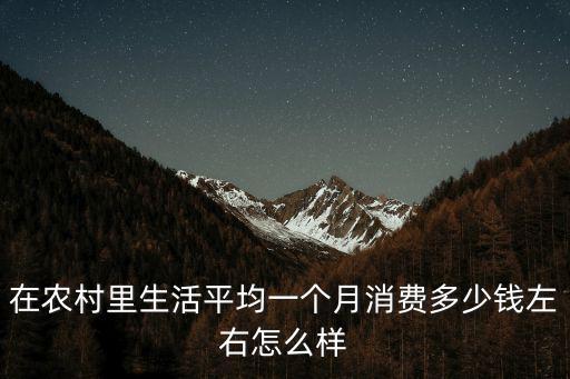 在農村里生活平均一個月消費多少錢左右怎么樣