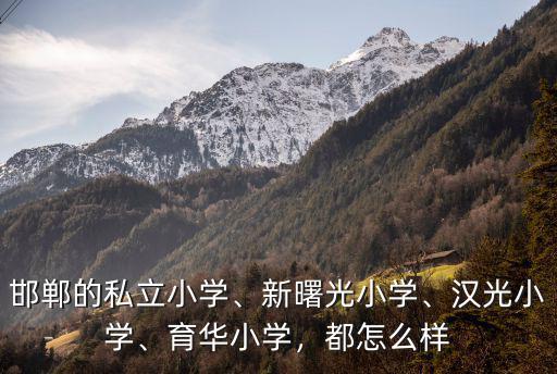 邯鄲的私立小學、新曙光小學、漢光小學、育華小學，都怎么樣