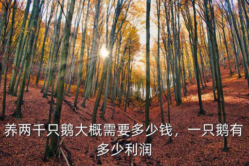 宿州老鵝店一支大概多少錢,養兩千只鵝大概需要多少錢