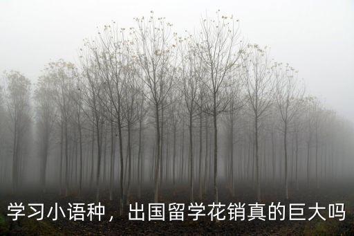 張家口歐亞小語種學費多少,學費又是多少