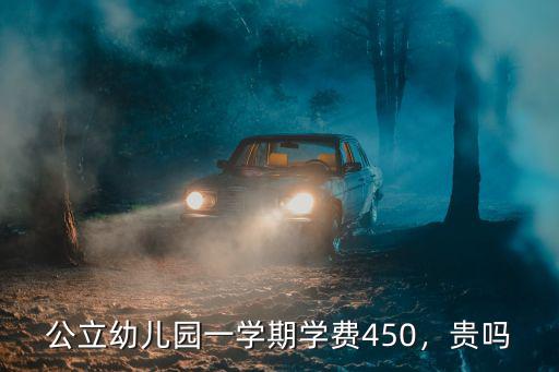 公立幼兒園一學(xué)期學(xué)費(fèi)450，貴嗎