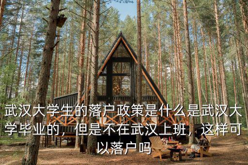 在職研究生畢業生怎么落戶武漢,武漢應屆生落戶問題