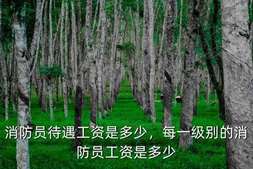 阜陽市消防員工資多少,消防員待遇工資是多少