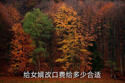 淮南媳婦的改口費給多少合適,給女婿改口費給多少合適