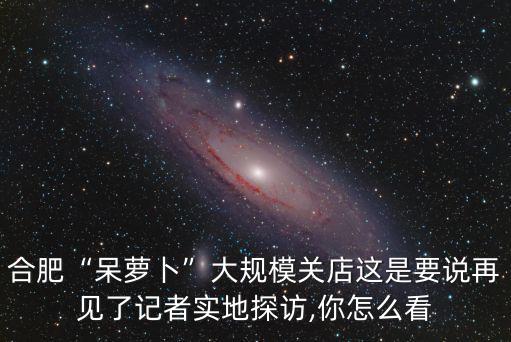合肥有多少家呆蘿卜,合肥呆蘿卜大規模關店