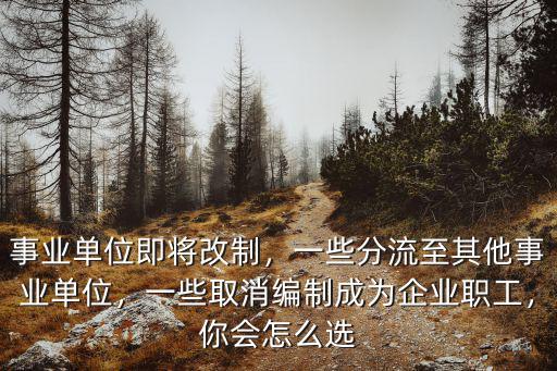 銅陵事業單位改制多少錢,事業單位即將改制