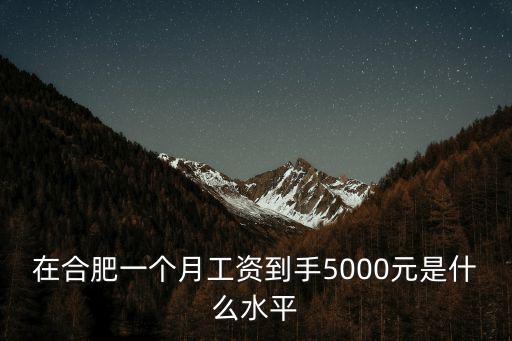 合肥導(dǎo)購(gòu)多少錢一個(gè)月多少錢一個(gè)月,一個(gè)月5.6k
