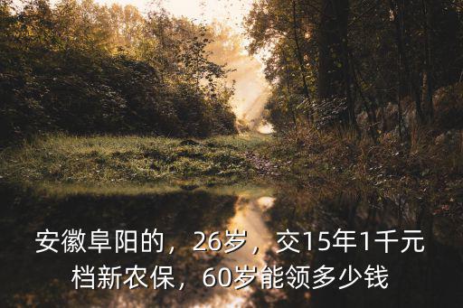 安徽阜南縣新農(nóng)保交多少錢,今年新農(nóng)保交多少錢