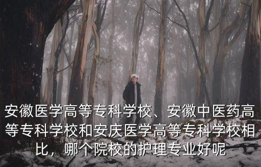 安慶醫藥高等專科學校需要多少分,安慶醫藥高等專科學校如何