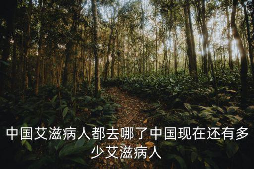 安慶市有多少艾滋病人,中國現在還有多少艾滋病人