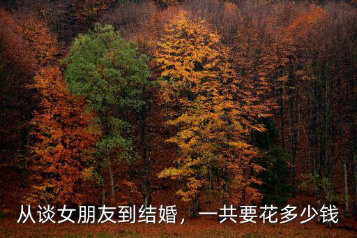 從談女朋友到結婚，一共要花多少錢