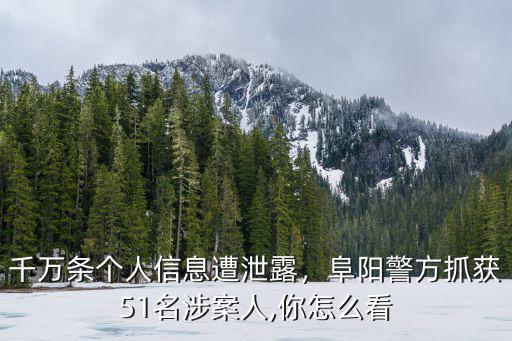 千萬條個人信息遭泄露，阜陽警方抓獲51名涉案人,你怎么看