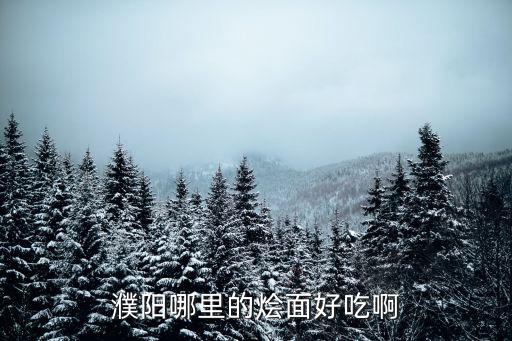 濮陽哪里的燴面好吃啊