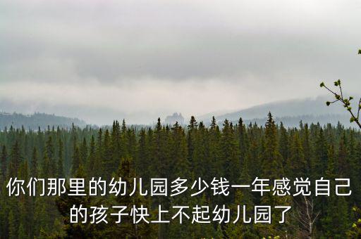 你們那里的幼兒園多少錢一年感覺自己的孩子快上不起幼兒園了