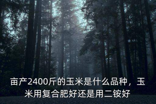 畝產2400斤的玉米是什么品種，玉米用復合肥好還是用二銨好