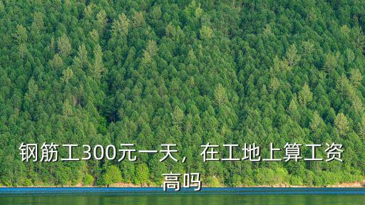 合肥鋼筋工打突擊多少錢一天,建筑鋼筋工多少錢一月