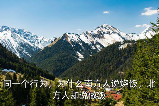 湖北方言做飯怎么說,把做飯說成燒飯是哪里的方言