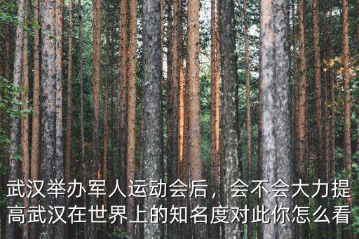 武漢軍運動會是怎么建設,武漢舉辦軍人運動會后