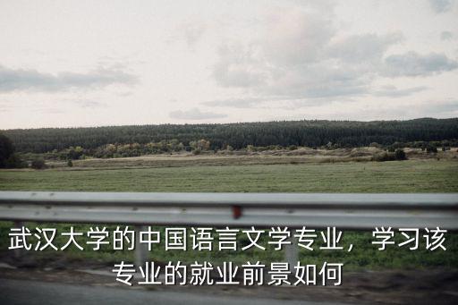 武漢大學(xué)的中國語言文學(xué)專業(yè)，學(xué)習(xí)該專業(yè)的就業(yè)前景如何