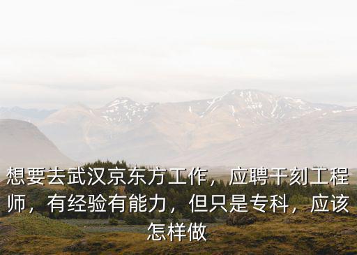 想要去武漢京東方工作，應聘干刻工程師，有經驗有能力，但只是專科，應該怎樣做