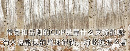 常德和岳陽的GDP是靠什么支撐的呢有人說常德的增速很快，對此你怎么看