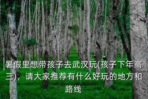 暑假里想帶孩子去武漢玩(孩子下年高三)，請大家推薦有什么好玩的地方和路線
